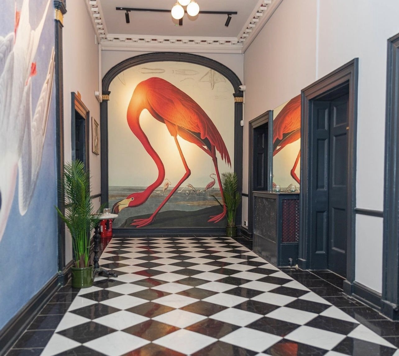 Welcome to Royal Institution